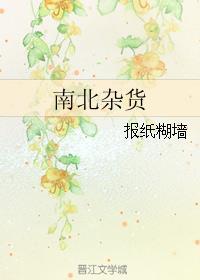 南北杂货铺笔趣阁无弹窗