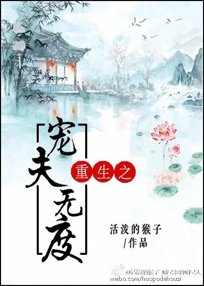 重生之盛宠录
