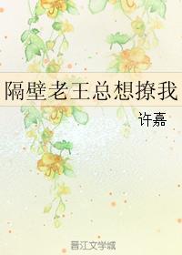 隔壁老王的梗是什