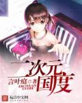 囧次元正版