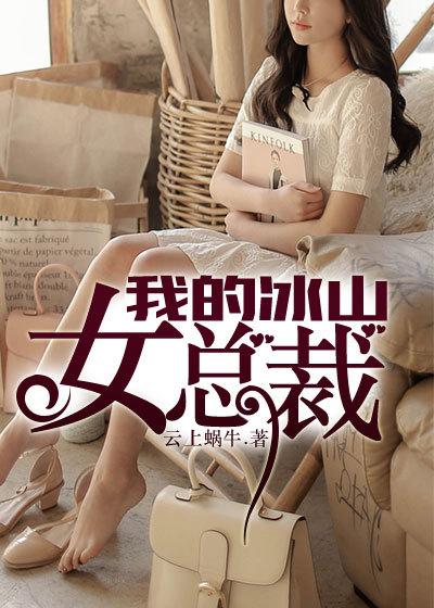 我的冰山女总裁陆尘李清瑶免费阅读全文