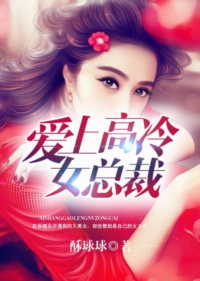 爱上高冷女总裁gl作者AM