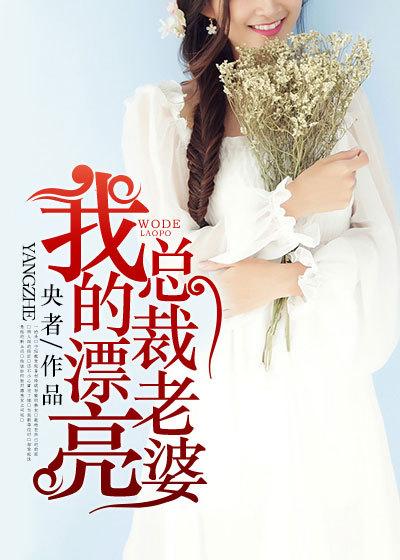我的美女总裁老婆杨辰免费阅读