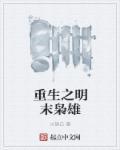 重生之明末兵