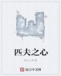 匹夫之什么