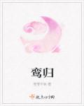 鸾归江山txt