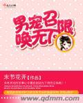 男宠模式