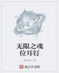 无限魂器是什么意思
