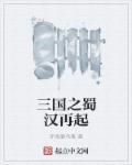 三国之蜀汉再起 昊天