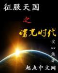 征服天国简介
