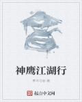 神鹰pin