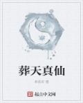 葬天老祖免费阅读