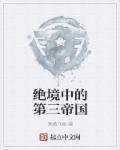 绝境中的第三帝国免费阅读