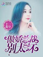 傲娇总裁有点坏