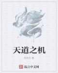 天道之局