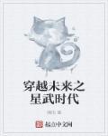 穿越未来武者类的