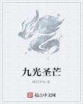 九圣光卫士加成