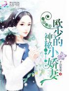 欧少的逃妻全文阅读