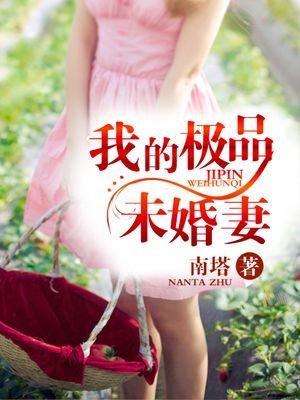 我的极品未婚妻中文