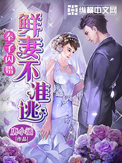 奉子闪婚鲜妻不准逃免费阅读