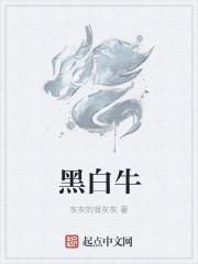 黑白牛产奶去了