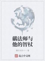 一个法师拿个法杖图标的游戏