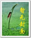众星之主全本