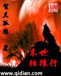 末世独行路