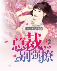旧爱新欢总裁大叔别乱来