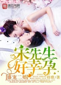 盛宠2婚宋先生好幸孕