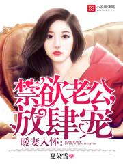 暖妻入怀言欢