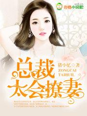 婚心似海总裁的亿万妻约
