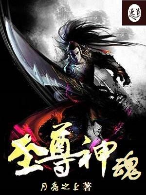 至尊神魂全文免费阅读