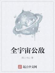 全界公敌
