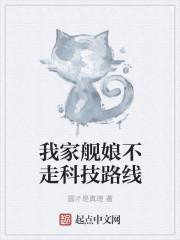我家的舰娘