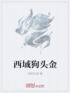 狗头金案件