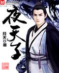 夜天子 电视剧