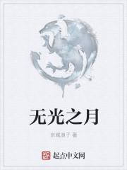 无光之月游戏