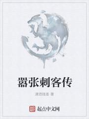 江湖风云录刺客传