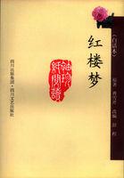 红楼梦白话本txt百度