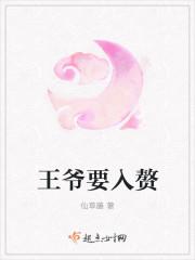 王爷入赘梗概