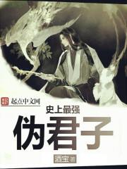 史上最强伪君子TXT免费