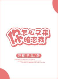 你怎么又来暗恋我广播剧