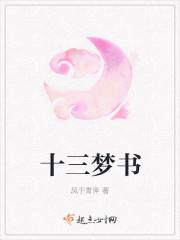 作者十三