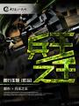 兵王之王秦风