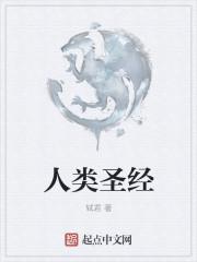 口袋妖怪漆黑冠军之路地图