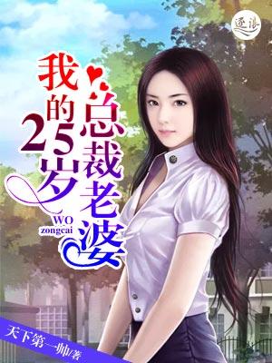 我的25岁总裁老婆漫画