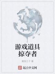掠夺者怎么用