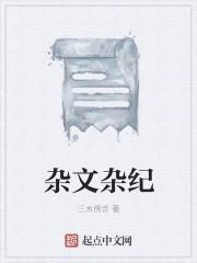 杂文 释义