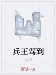 兵王驾到全集